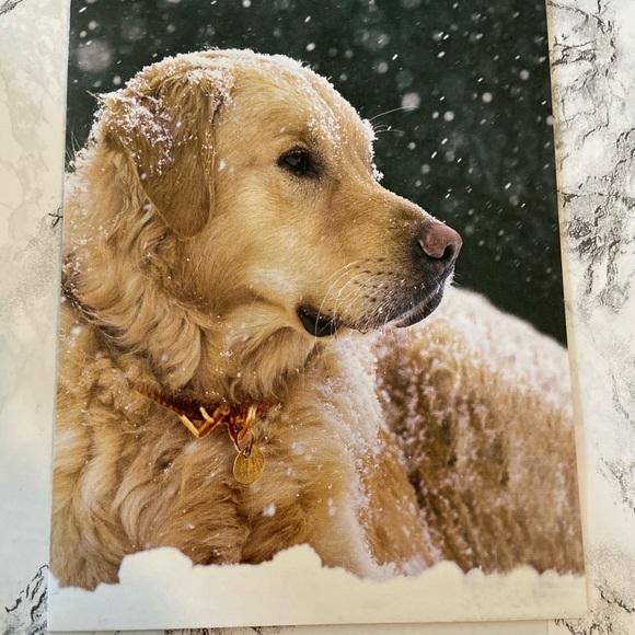 Christmas, Seasons Greeting & Holiday cards. Total of 60 cards - Picture 11 of 16